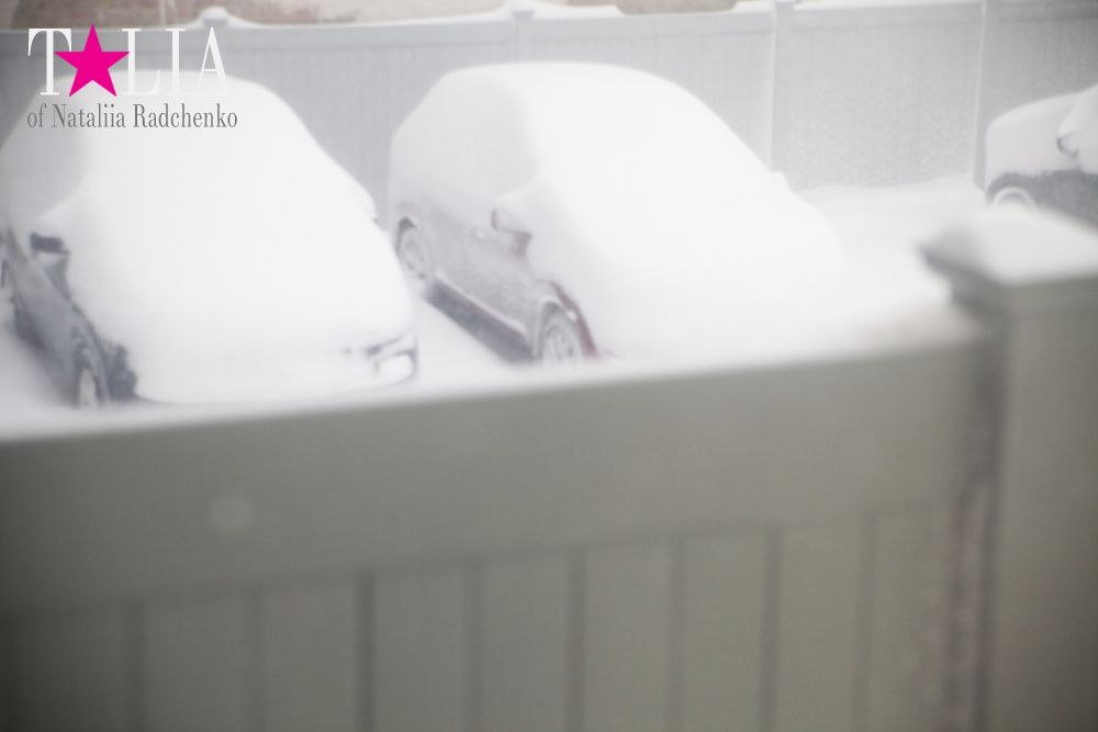 Фотографии из нашего окна. Снежный Шторм в Нью-Йорке 23 января 2016